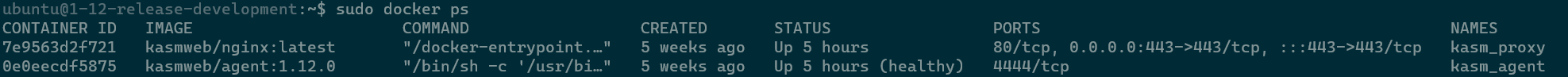../_images/agent_proxy_docker_ps.png