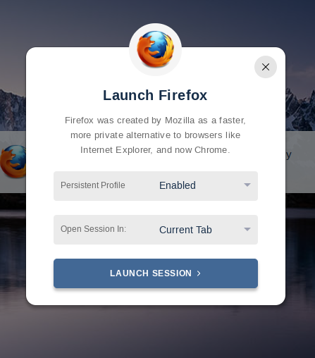 ../../_images/profile_launch_option.png