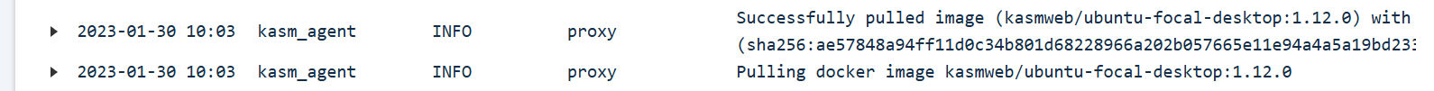 ../_images/successful_pull_logs.png