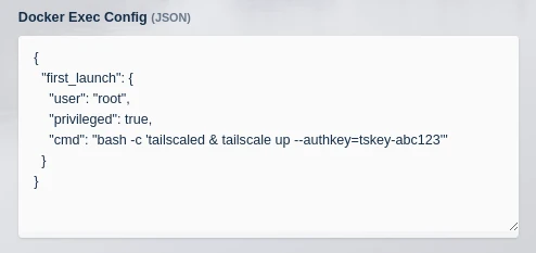 ../_images/docker_exec_config_tailscale.webp