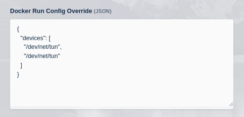 ../_images/docker_run_config_tailscale.webp